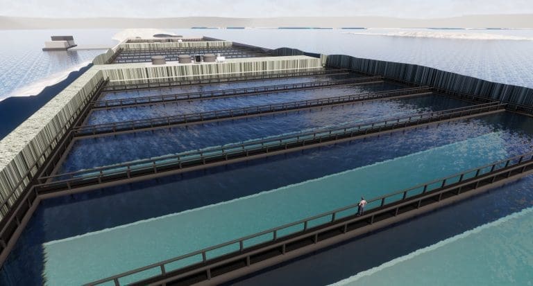 – Det er ingen som har klart å dokumentere industriell produksjon av laks på land. Det er ikke enkelt