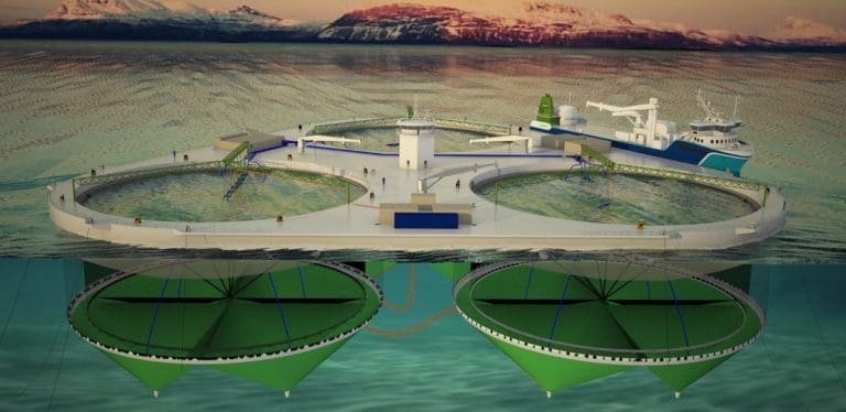 Salaks antyder at et ja til “FjordMAX” kan bety både nytt settefiskanlegg og nytt slakteri