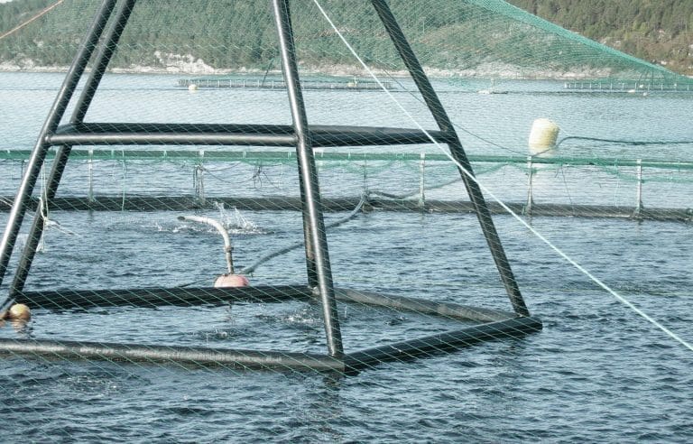 Her er vinnerne og taperne i jakten på unntaksvekst