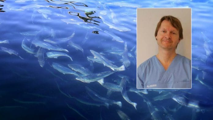 Øyelege rundet fem prosents eierskap i Grieg Seafood