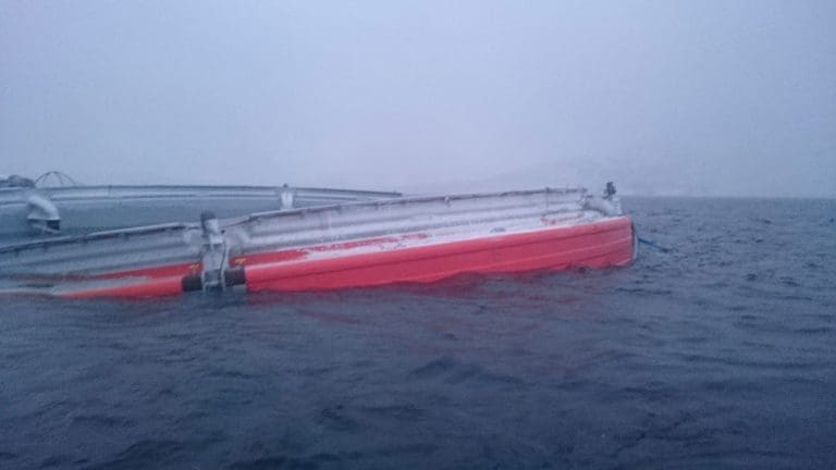 Aquadome-rettssaken: – Cermaq driver med fiskeoppdrett, ikke med produksjon av hardware til oppdrettsbransjen