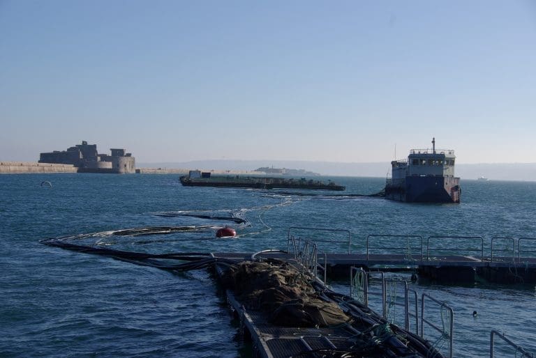 Oppdrettslaksen i Normandie trives under lysekronene