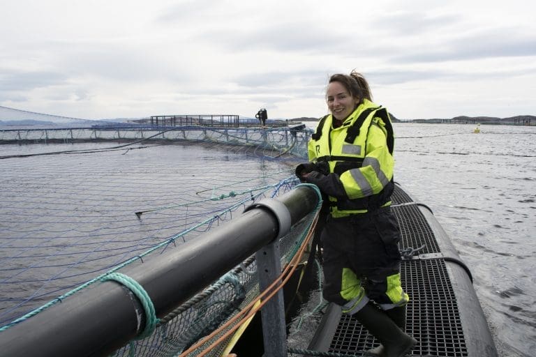 Troen på selvregulering som problemløser