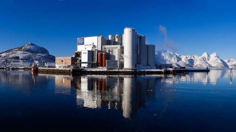 BioMar på Myre i Vesterålen kritiseres av Statsforvalteren etter to oljeutslipp