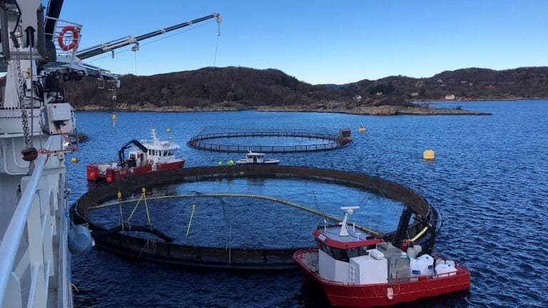 Her er &laquo;Norwegian Gannet&raquo; på sitt første oppdrag: – Det var veldig godt å komme i gang. Det koster penger å ligge i ro
