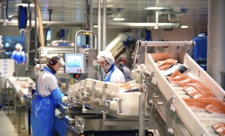 Oppdrettere i Namdalen investerer opptil 3,5 milliarder kroner