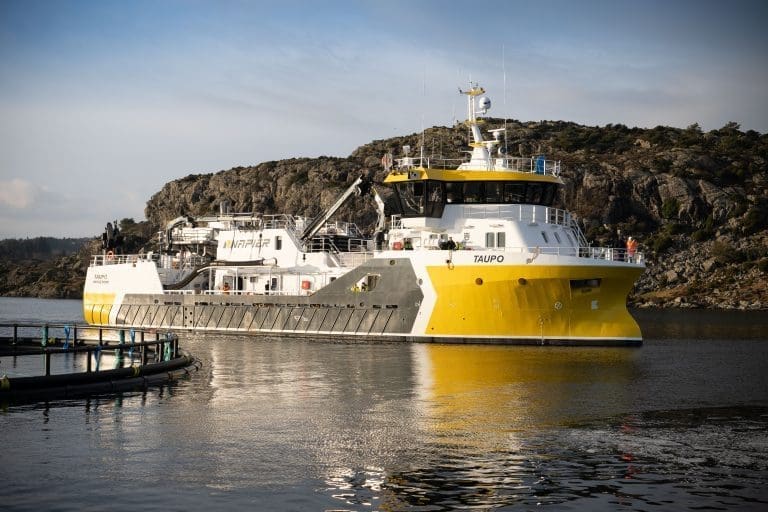 Bløggebåten &laquo;Taupo&raquo; har grunnstøtt og tar inn vann