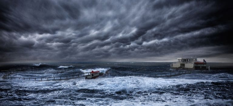 AKVA group med sin største fôrflåteavtale noensinne – skal levere til Norway Royal Salmons offshoreanlegg