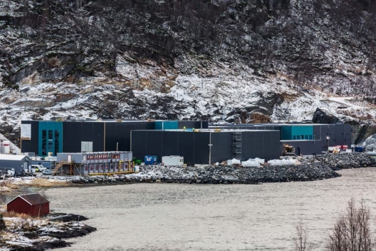Kvarøy Fiskeoppdrett skal produsere stamfisk for SalmoBreed Salten
