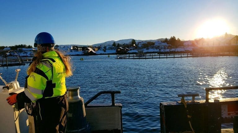 Havbruksakademiet har fått undervisningstillatelse til oppdrett