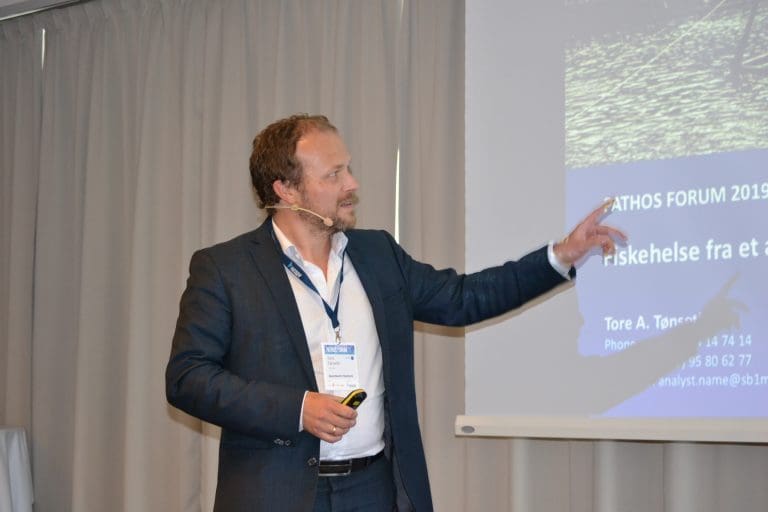 Stusser over hopp i biomassetallene
