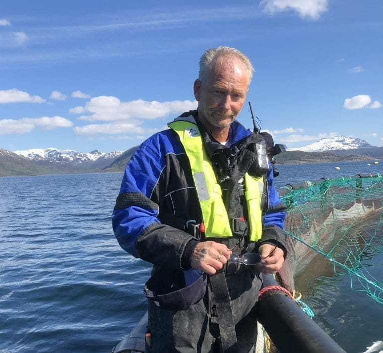 Mortenlaks snudde driften