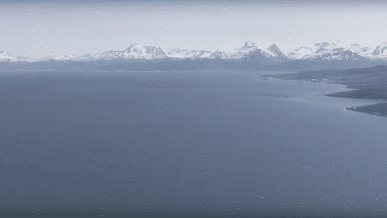 Alger fører til at oppdrettsfisk dør i Nordland og Troms