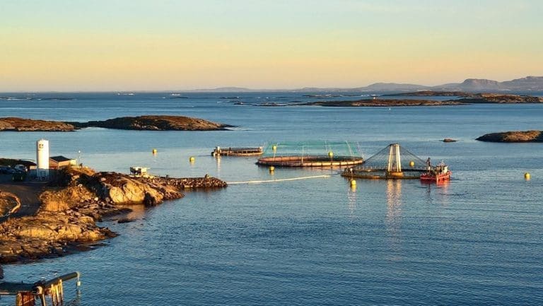 Smølabedrift fikk nei fra regjeringen