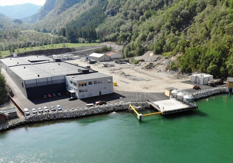 Slik halverte Grieg Seafood laksedødeligheten