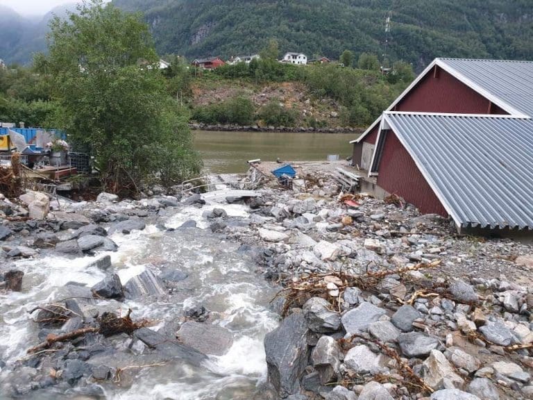 Hyen Fisk har mistet rundt 150.000 yngel