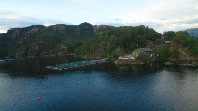 Driftsresultatet til Quatro Laks falt med 44 prosent
