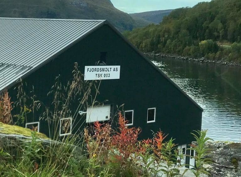 Stor rømming fra settefiskanlegg i Troms