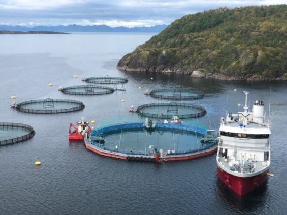 Hamarøy kommune får 10,7 millioner kroner fra Havbruksfondet