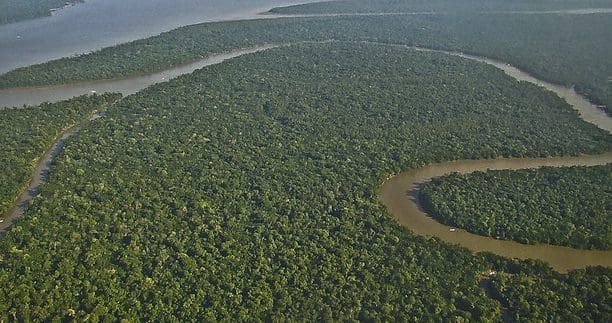 Oppdrettere støtter soya-moratoriet i Brasil i åpent brev
