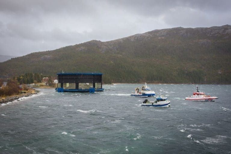 Aquatraz slet seg i stormen: – Dette er en uønsket hendelse for Midt-Norsk Havbruk