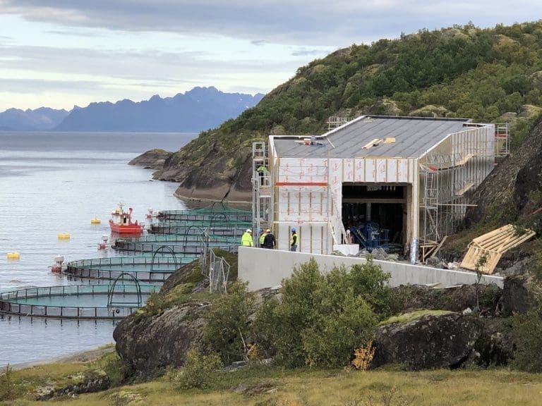 Her reiser Cermaqs nye visningssenter seg og det ligger nært merdene: – Man kan stå inne i anlegget og se på at laksen hopper