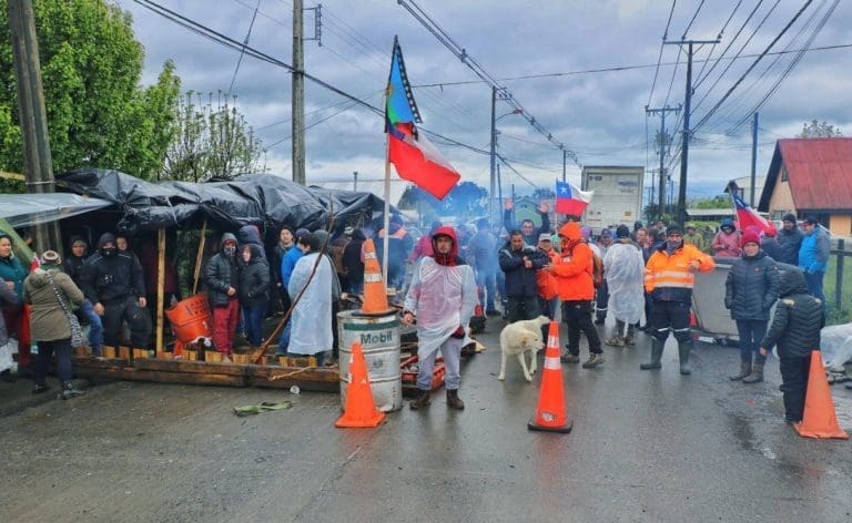 Opptøyene fortsetter i Chile: 320 tonn laks råtner i foredlingsanlegg