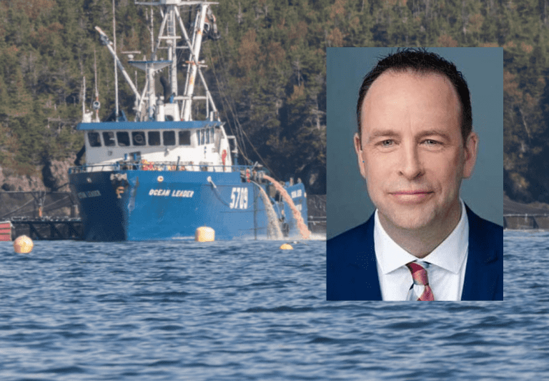 Mowis direktør i Øst-Canada innrømmer tap av 2,6 millioner fisk – ti konsesjoner suspenderes