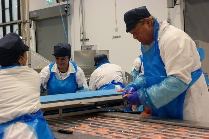 Isfjord Norway: – Vi har mål om en milliard kroner i omsetning