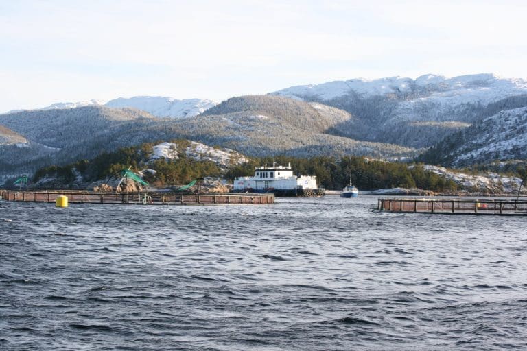 SalmoNor satser på klimateknologi
