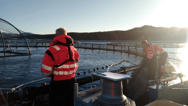 Emilsen Fisk og Biofeed inngår samarbeid: – 30 års erfaring og kunnskap fra humanpreparater skal nå testes på fisk i sjø