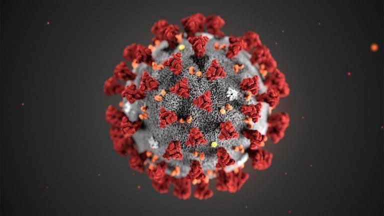 Arbeider ved SinkabergHansens bygganlegg testet positivt på koronavirus
