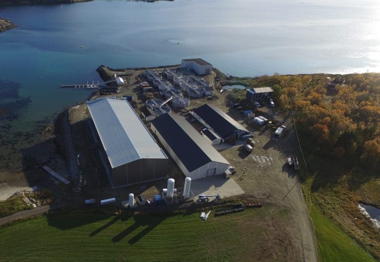 Omsetningsboost for Lødingen Fisk