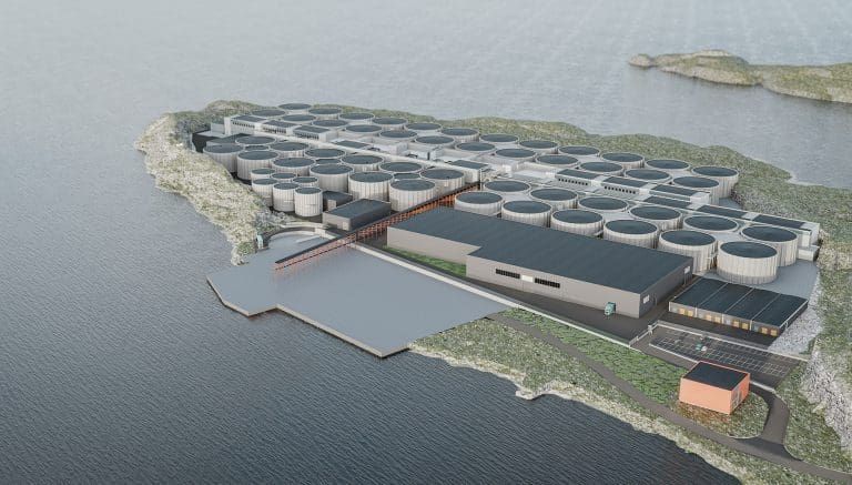 Styremedlemmer fortsetter å hamstre i Salmon Evolution