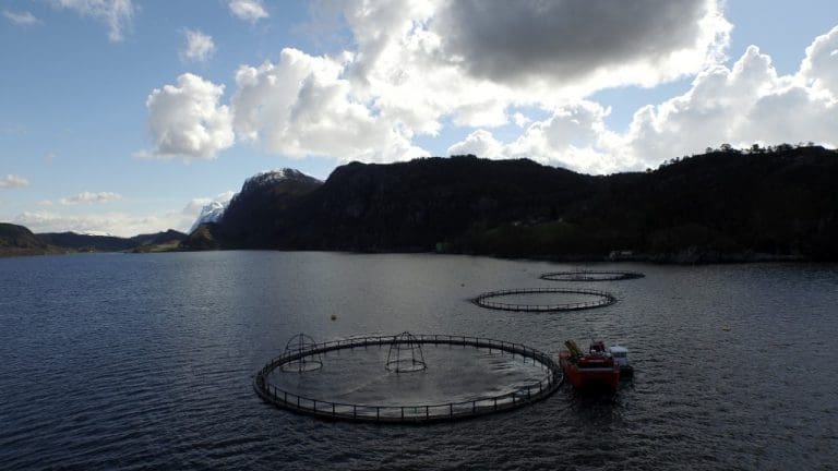 Magert overskudd for Flokenes Fiskefarm