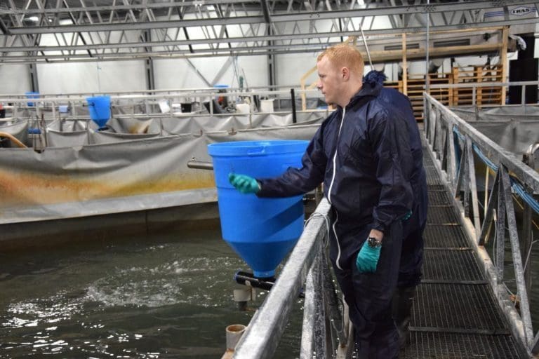 Andre år på rad med overskudd for Danish Salmon