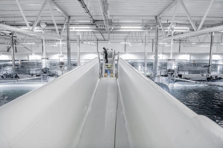 AquaCon vil investere 9,5 milliarder kroner på den amerikanske østkysten, men sliter med finansiering