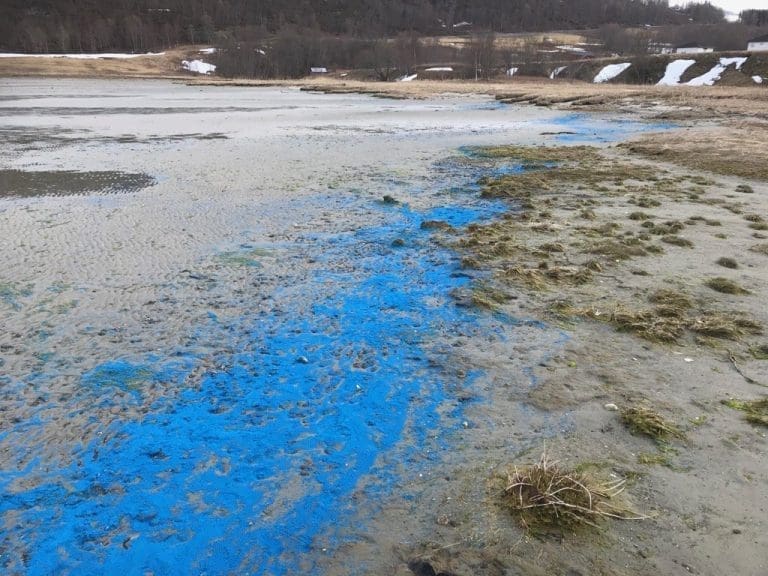 Utslipp fra oppdrettsanlegg: Dette synet møtte Tom Egil da han kom hjem