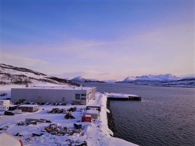 All fisken døde i Mowis nye settefiskanlegg på Skjervøy