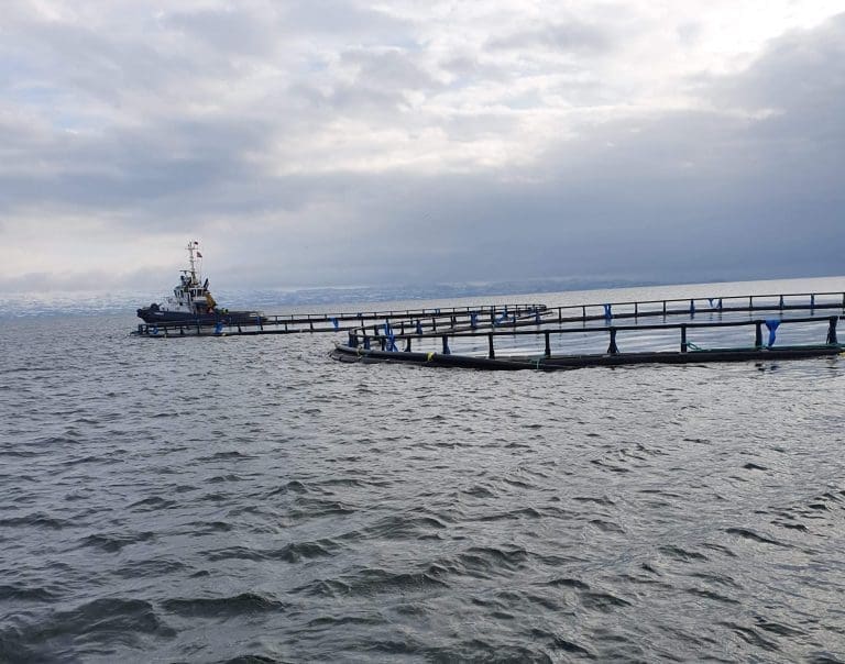 Her henter slepebåten oppdrettsmerder i Finnmark og frakter dem hjem til Russland