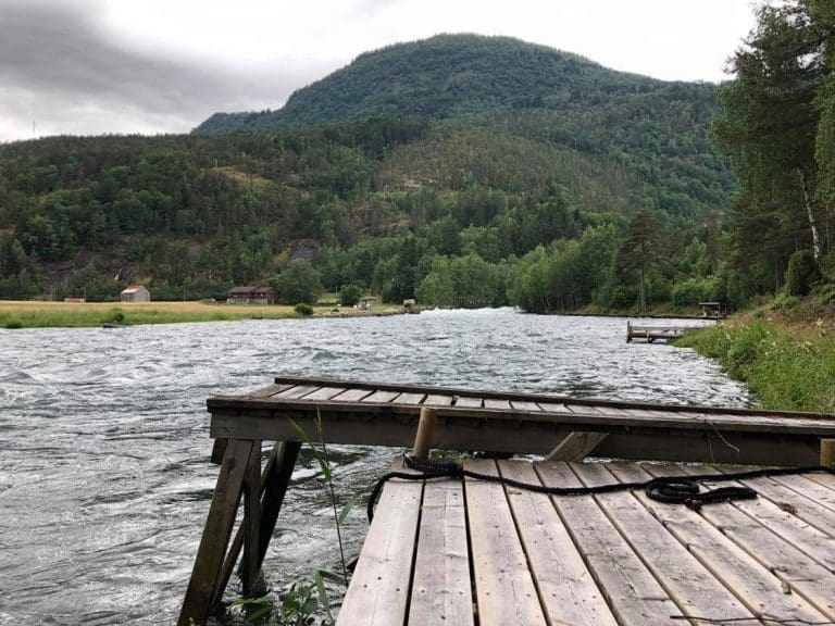 Vitenskapelig råd for lakseforvaltning må tørre å tenke nytt