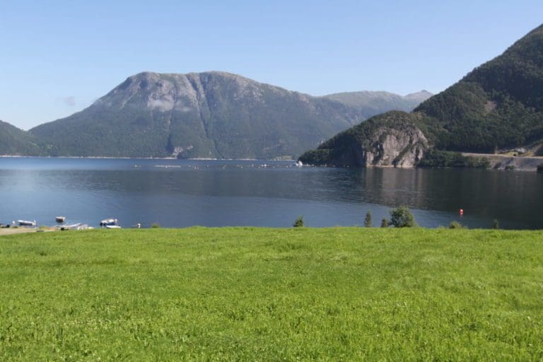 Lakserømmingen i Møre og Romsdal: – Alle AquaGen sine egne fiskegrupper kan spores ved hjelp av DNA-informasjon