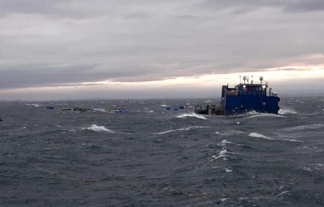 Storm senket laksemerder med 875.000 fisk