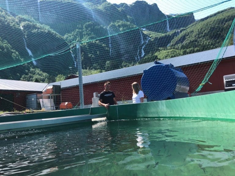 Strømsjokk kan gjøre det dyrt å produsere laks på land