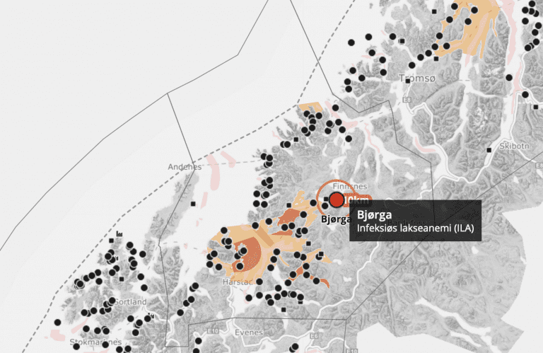 Salaks har fått påvist ILA i oppdrettsanlegg