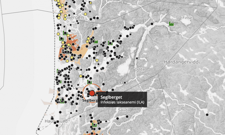 Mattilsynet bekrefter ILA i Alsaker Fjordbruk-anlegg
