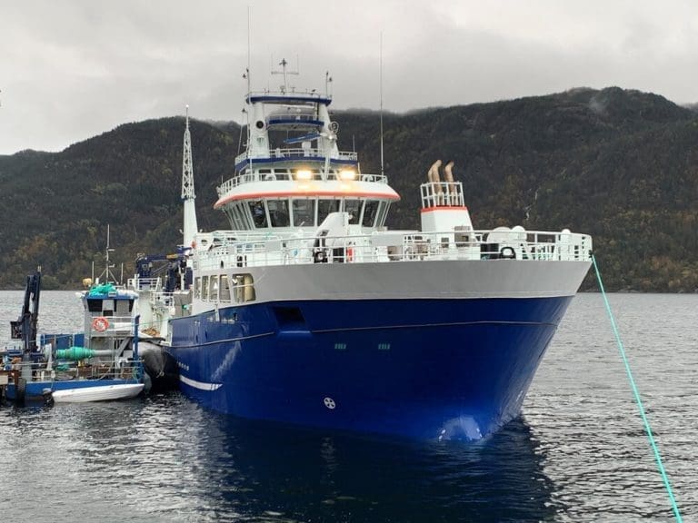 DESS-gevinst kan gi romslig Mowi-utbytte