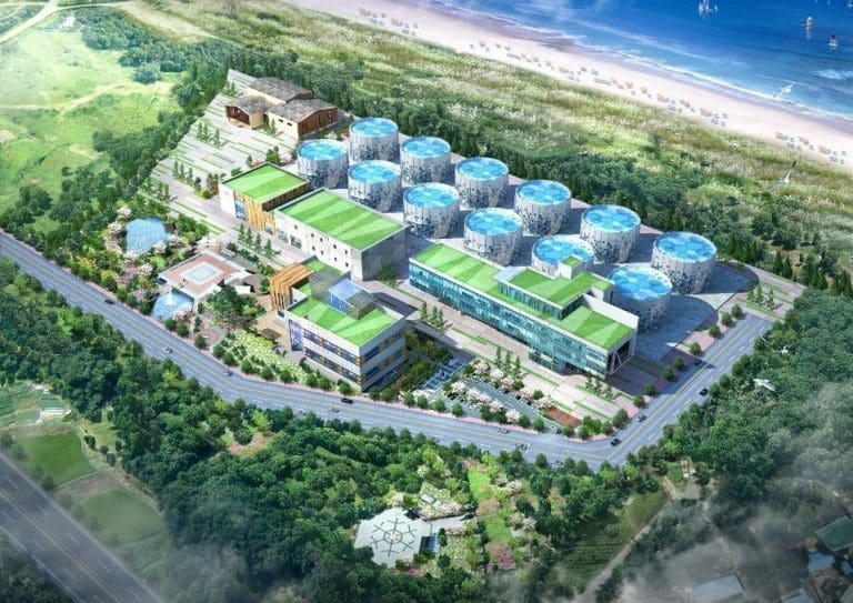 Salmon Evolution og Dongwon vil bygge oppdrettsanlegg for 20.000 tonn laks i Sør-Korea