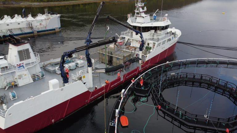 Cermaq har satt ut første smolt i &laquo;iFarm&raquo;: – Kan bidra til å styrke konkurransekraften til kystnært oppdrett