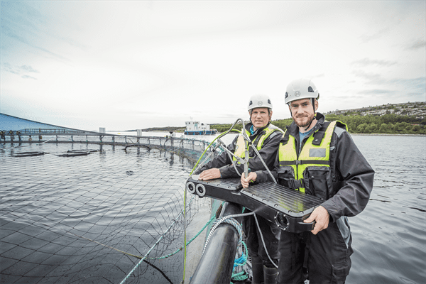 OptoScale landet analyseavtale med NRS Farming
